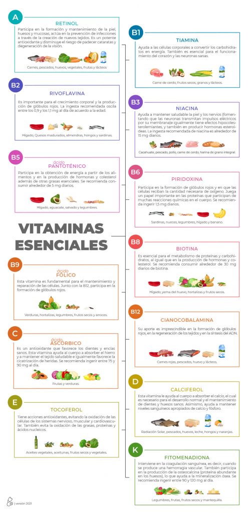 Texto informativo sobre vitaminas